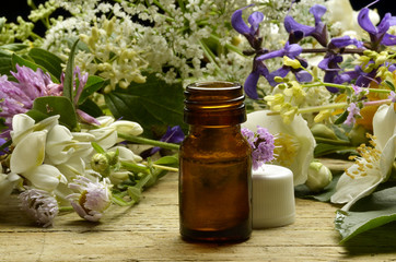 Apitherapy Apiterapia Apithérapie Apitherapie Апитерапия