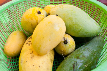 Mango in Plastic Basket