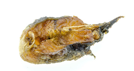 fried catfish close up