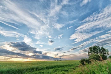 Foto op Plexiglas Alberta Prairie Sunset © Kerry Snelson