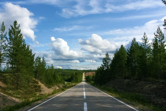 スウェーデン、森の一本道