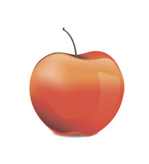 juicy fresh red summer apple