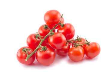 Two cocktail tomato branches isolated