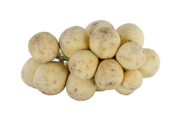 Lansium domesticum on white background