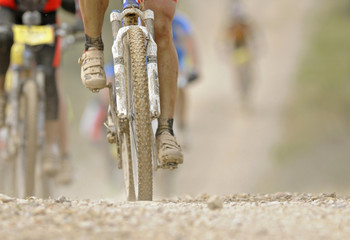 mountain bike desert adventure