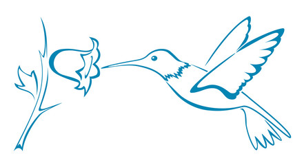 Colibri