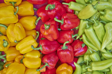 colorful bell peppers for sale, natural background