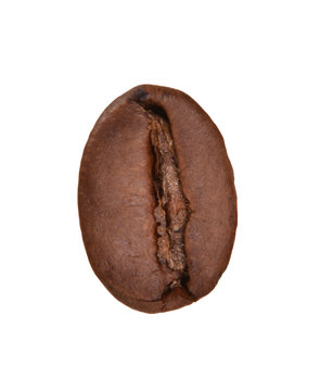 Semilla,grano de café aislado en fondo blanco.