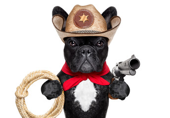 cowboy dog - obrazy, fototapety, plakaty
