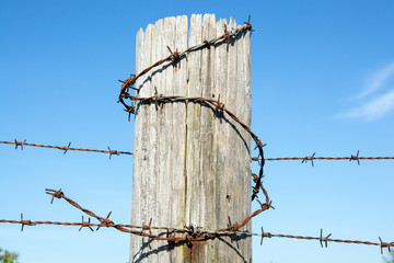 Barbed wire fence