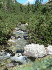 Gebirgsfluss in der Hohen Tatra