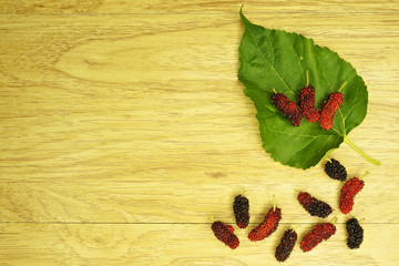 Red and black mulberry with  leaf place on right