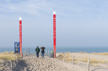 sand dune