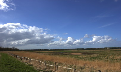 Way on levee through the reed by the river Ryck in Mecklenburg-Vorpommern, Germany. To the side you see a rural landscape and beautiful blue sky
