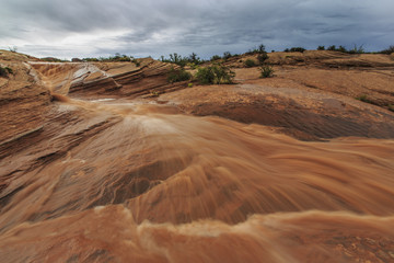Storm, rain and flash flood in American desert
