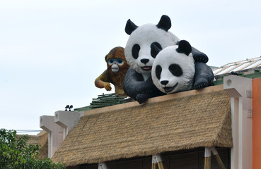 Панда и рыжая панда