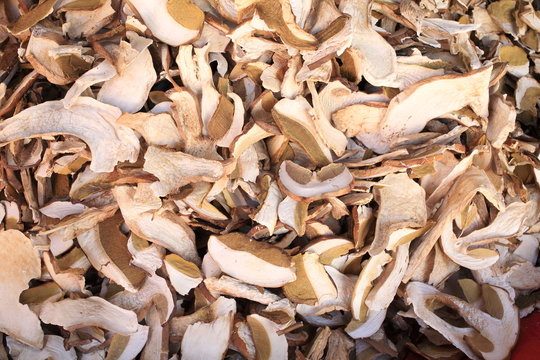 funghi porcini esiccati