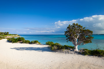 Coast at Bahamas