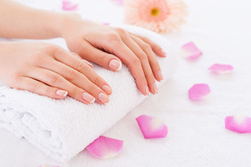 Fototapeta premium Beautiful female hands.