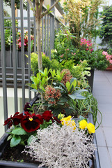 Beautiful terrace with a lot of flowers