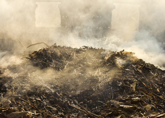 Smoke from burning leaves.