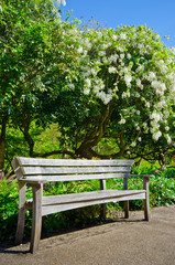 Garden bench