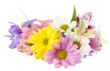 Beautiful flowers isolated on white