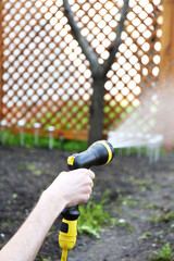 Gardener watering garden