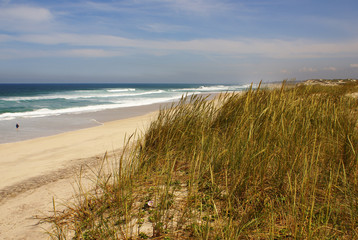 Fototapeta na wymiar Beach on Atlantic Ocean Coast in near Furadouro, Portugal