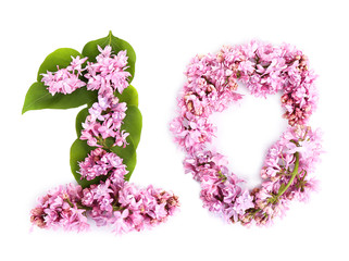Number ten of petals and flowers isolated on white