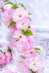 Beautiful fruit blossom in glass on table on grey background