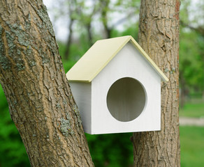Birdhouse in garden outdoors