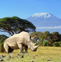 Papier Peint photo autocollant Kilimandjaro Rhino devant la montagne du Kilimandjaro