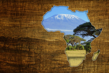 Africa Wildlife Map Design