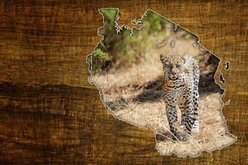 Naklejka na ściany i meble Tanzania Wildlife Mapa Projektowanie
