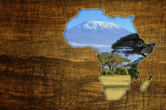 Fototapeta Africa Wildlife Map Design