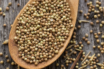 coriander