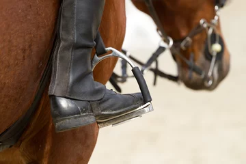 Acrylic prints Horse riding dressage hors