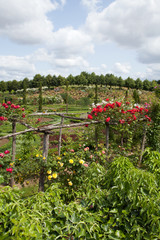 garden and chateau La Chatonniere near Villandry. Loire Valley