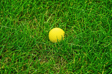 close up golf ball on course