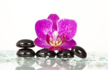 Naklejka na ściany i meble Spa stones and pink orchid
