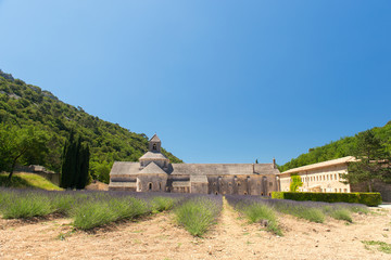 Fototapeta na wymiar Abbey in French Senanque