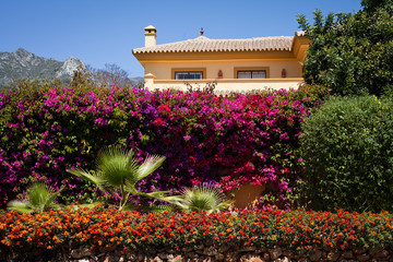 ulica Hiszpania pocztówka Marbella kwiaty biały kolorowy