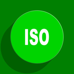 iso green flat icon