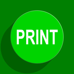 print green flat icon