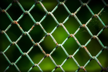 Fototapeta premium texture wire fence