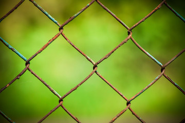 Fototapeta premium texture wire fence