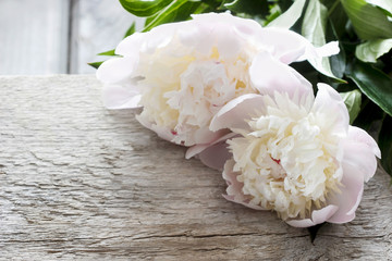 Stunning peonies in white wicker basket on rustic wooden table