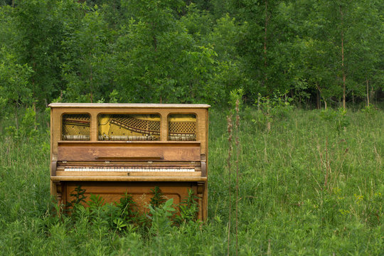 Abandoned Piano with Copy Space