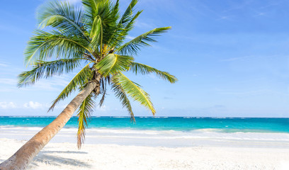 Naklejka na ściany i meble Tropical beach with palm trees